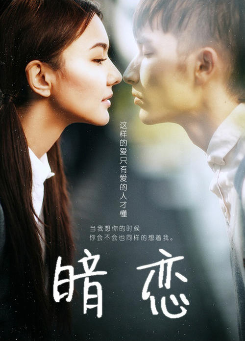 东北大学degree certificate